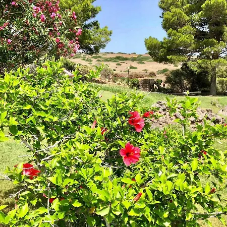 Daire Ibisco Farm Capo Sperone