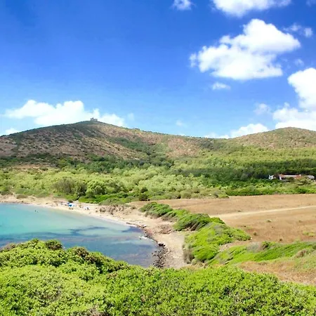Ibisco Farm *